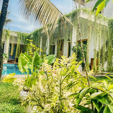 Eton Villa Диквела Екстериор снимка