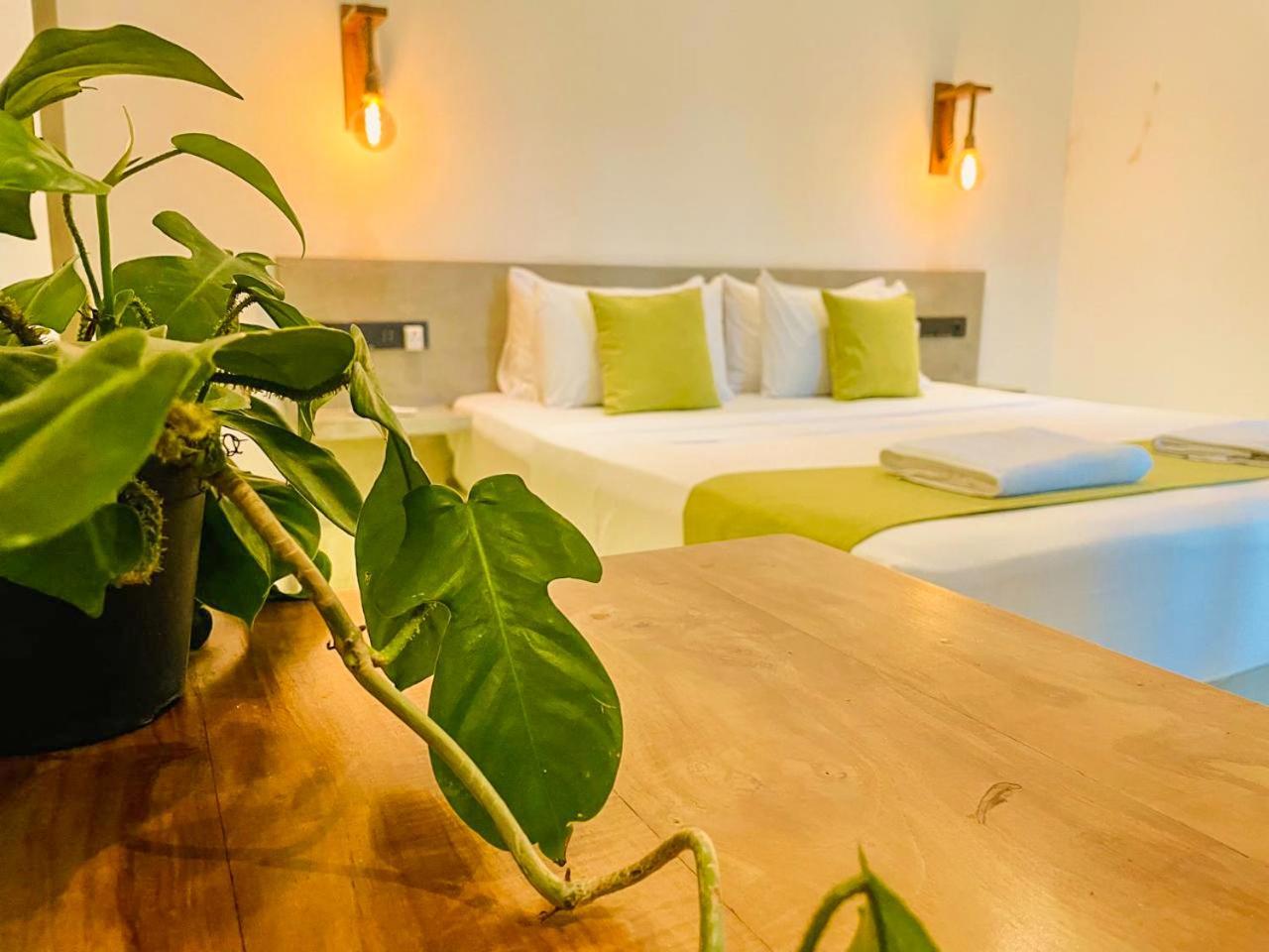 Eton Villa Диквела Екстериор снимка