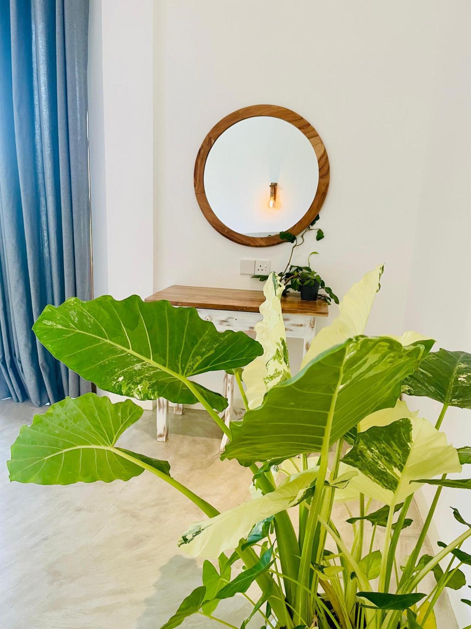 Eton Villa Диквела Екстериор снимка